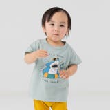 Aサメ/ミント | キッズ 半袖 Tシャツ | chil2