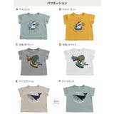 キッズ 半袖 Tシャツ | chil2 | 詳細画像3 