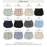 パンツ ブルマ ズボン | chil2 | 詳細画像3