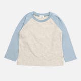 サックス | ラグラン 長袖 Tシャツ | chil2