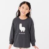 Aアルパカ/チャコール | 綿100% プリント 長袖Tシャツ | chil2