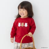 Dサガラ/ワインレッド | ミッフィー ロンT 長袖 | chil2