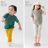 綿100% 無地Tシャツ 半袖 | chil2 | 詳細画像12
