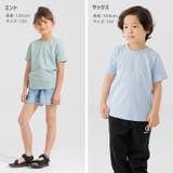綿100% 無地Tシャツ 半袖 | chil2 | 詳細画像13