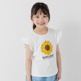 Aひまわり/ホワイト | 綿100% プリント フリル半袖Tシャツ | chil2