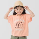 Nペンギン/オレンジ | キッズ 半袖 Tシャツ | chil2