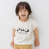 Pパンダ/クリーム | キッズ 半袖 Tシャツ | chil2