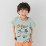 Sくまサーフィン/ミント | キッズ 半袖 Tシャツ | chil2