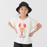 Cロブスター/クリーム | キッズ 半袖 Tシャツ | chil2