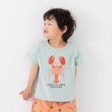 Dロブスター/ミント | キッズ 半袖 Tシャツ | chil2