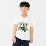 Qオオハシ/ホワイト | キッズ 半袖 Tシャツ | chil2