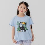 Rオオハシ/サックス | キッズ 半袖 Tシャツ | chil2