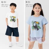 キッズ 半袖 Tシャツ | chil2 | 詳細画像16