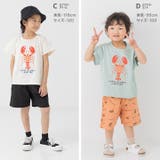 キッズ 半袖 Tシャツ | chil2 | 詳細画像9