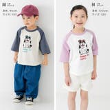 綿100% ラグラン 半袖Tシャツ | chil2 | 詳細画像14