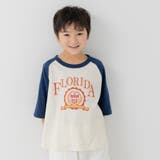 Aカレッジロゴ/ネイビー | 綿100% ラグラン 半袖Tシャツ | chil2