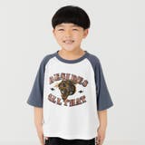Eタイガー/チャコール | 綿100% ラグラン 半袖Tシャツ | chil2