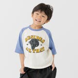 Fタイガー/スモークブルー | 綿100% ラグラン 半袖Tシャツ | chil2