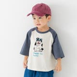 Mいぬ/チャコール | 綿100% ラグラン 半袖Tシャツ | chil2