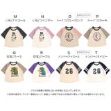 綿100% ラグラン 半袖Tシャツ | chil2 | 詳細画像4