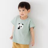 Fパンダ/ミント | キッズ 半袖 Tシャツ | chil2