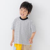 ホワイト | 綿100% ボーダー 半袖Tシャツ | chil2