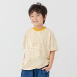 イエロー | 綿100% ボーダー 半袖Tシャツ | chil2