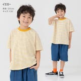 綿100% ボーダー 半袖Tシャツ | chil2 | 詳細画像9