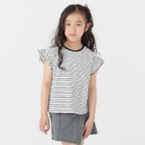 ホワイト | 綿100% フリル ボーダー半袖Tシャツ | chil2