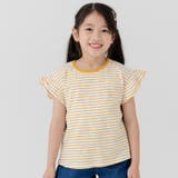 イエロー | 綿100% フリル ボーダー半袖Tシャツ | chil2