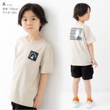 キャプテンスタッグ キッズ 半袖Tシャツ | chil2 | 詳細画像6