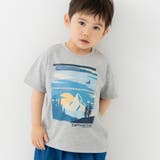 Dグレー | キャプテンスタッグ キッズ 半袖Tシャツ | chil2