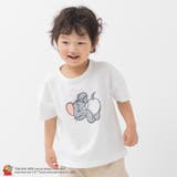 Cタフィー/ホワイト | トムとジェリー Tシャツ キッズ | chil2