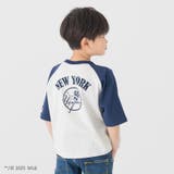 ネイビー | キッズ MLB Tシャツ | chil2