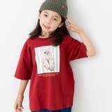 Hキャット/ワインレッド | ビッグシルエット プリント 半袖Tシャツ | chil2