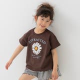 Nフラワー/ブラウン | プリント 半袖 Tシャツ | chil2