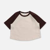 ブラウン | 無地 ラグラン 半袖Tシャツ | chil2