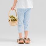 サックス | 7分丈 ストレッチ レギンスパンツ | chil2