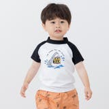 サメ | ラッシュガード 半袖Tシャツ 水遊び着 | chil2