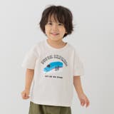 スパンコール/クリーム | JR 半袖Tシャツ 男の子 | chil2