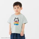 ミント | フィリックス ザ キャット | chil2