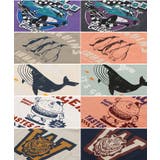 キッズ 半袖 Tシャツ | chil2 | 詳細画像6