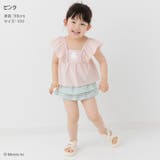 ミッフィー 水着 キッズ | chil2 | 詳細画像5