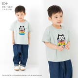 フィリックス ザ キャット | chil2 | 詳細画像5 