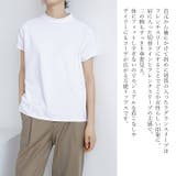 トップス カジュアル ラグランスリーブ | Cinderella | 詳細画像2 