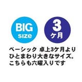 ベーシック 卓上3ヶ月カレンダー 大 | cinemacollection | 詳細画像3