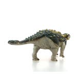 アンキロサウルス NEWソフトモデルフィギュア 恐竜 | cinemacollection | 詳細画像3