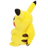ポケットモンスター キャラぬいぐるみ ぬいぐるみM | cinemacollection | 詳細画像4 