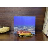 カンブリアモンスター フィギア ミニモデル | cinemacollection | 詳細画像4