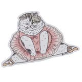 cinemacollection（シネマコレクション） | 世にも不思議な猫世界 ステッカー クロス素材ステッカー ミーヤちゃん KORIRI ゼネラルステッカー DECOシール かわいい キャラクター グッズ 通販  シネマコレクション